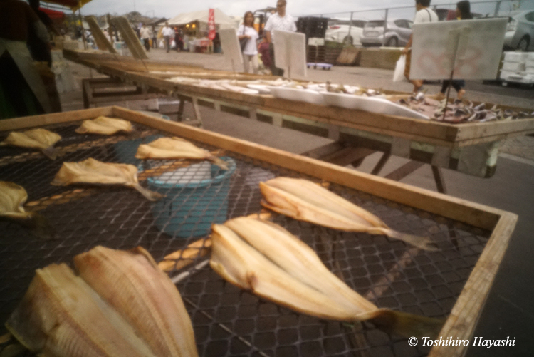 Nakaminato fish market #2